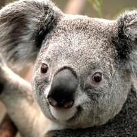 alex-davtyan-1195168986000