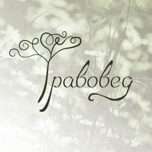 Разработка логотипа для салона народной медицины