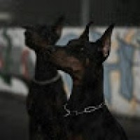 anastasiya-seryakova-413