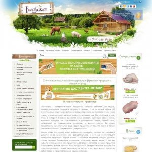 baklazan.ru - интернет магазин продуктов