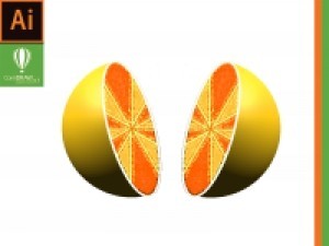 Вектор апельсин