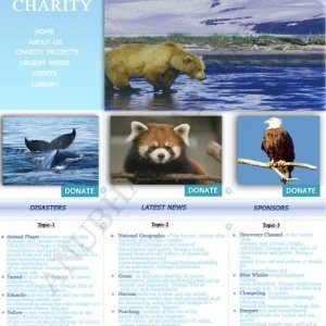 Bkind Charity Homepage