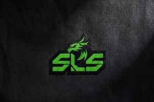 Дизайн логотипа для SLS