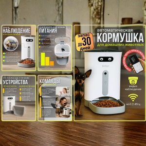 автокормушка инфографика