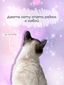 Инфографика