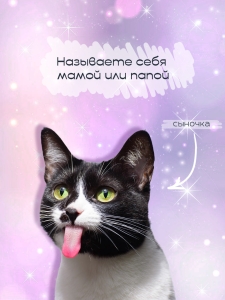 Инфографика