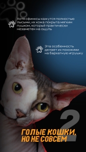 Инфографика