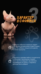 Инфографика