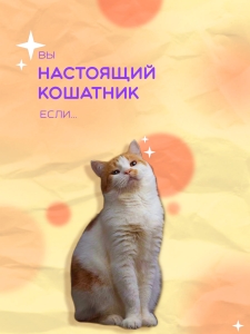 Инфографика