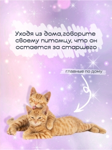 Инфографика