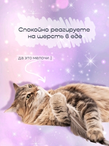 Инфографика