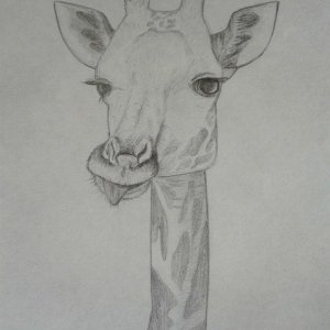 Жирафик