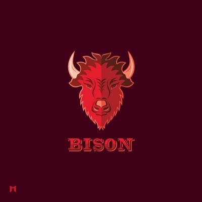 9902099_bison-1.jpg