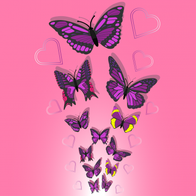 3797530_pink-butterflies-and.png