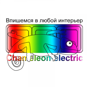 Логотип Хамелеон-электрик