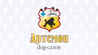 6594136_artemon-logo.jpg