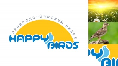 8045805_happy-birds-logo.jpg