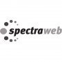 Фрилансер spectraweb