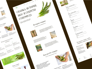 Лонгрид про спаржу