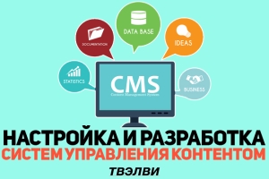 Настройка и разработка систем управления контентом (CMS)