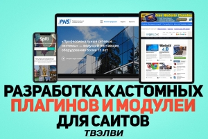 Разработка кастомных плагинов и модулей для сайта