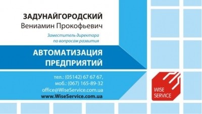 Варианты визитки Wise Service