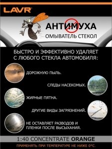 Листовка инфографика