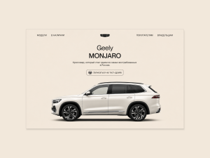 Landing page automotive