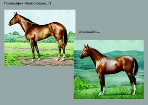 Лошади для энциклопедии
