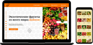 Сайт интернет-магазина экзотических фруктов
