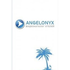 Технический аудит сайта angelonyx.com