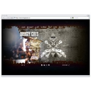 Официальный сайт рок группы Drugly Cats