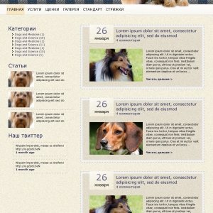 Сайт-блог о собаках