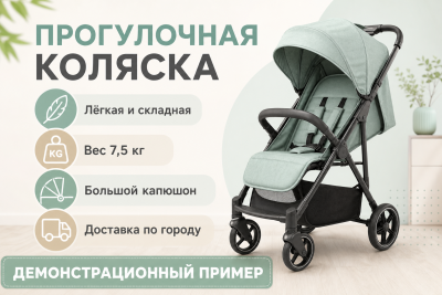 3733884_avito-stroller-demo.png