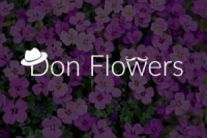 Лого для интернет магазина цветов