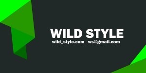 Визитка для компании Wild Style