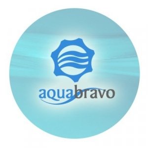 Логотип для AqvaBravo