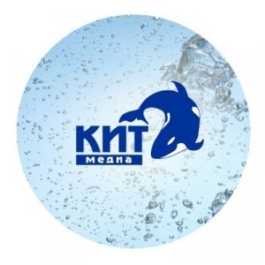 Логотип для КИТ
