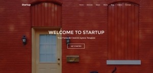 Start Up Landing Page
