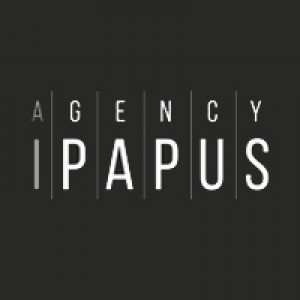 Продвижение сайтов в поисковых системах от iPapus Agency