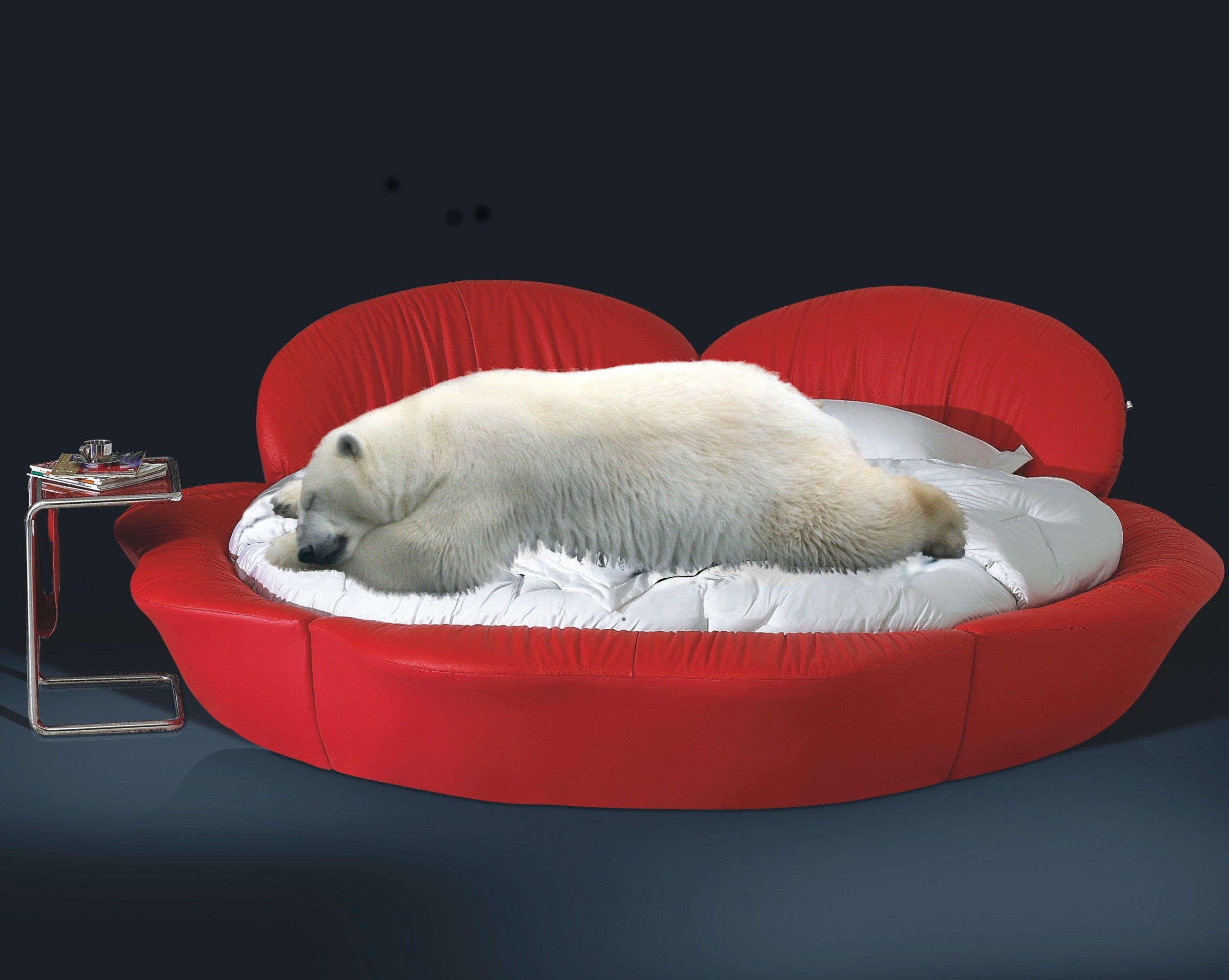 Медведь спящий на кровати
