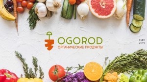 Логотип и фирменный стиль для интернет магазина Ogorod