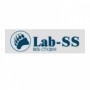 Студия LabSS Web Studio