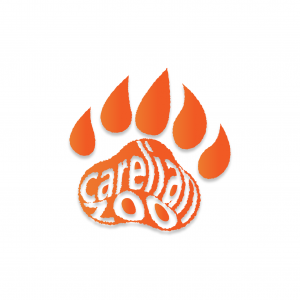 логотип зоокорелиан