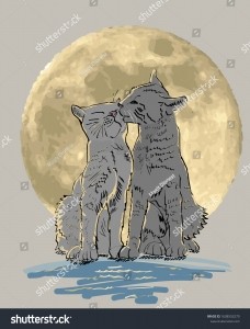 Луна и коты