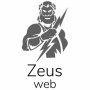 Студия Zeusweb