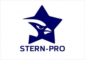 Фирменный стиль для IT-аутсорсинговой компании Stern-pro