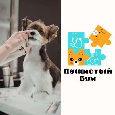 2464152_l6.jpg
