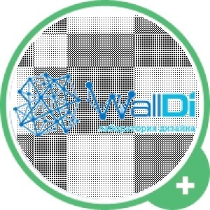 walldi 