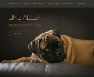 Дизайн сайта-визитки для питомника собак